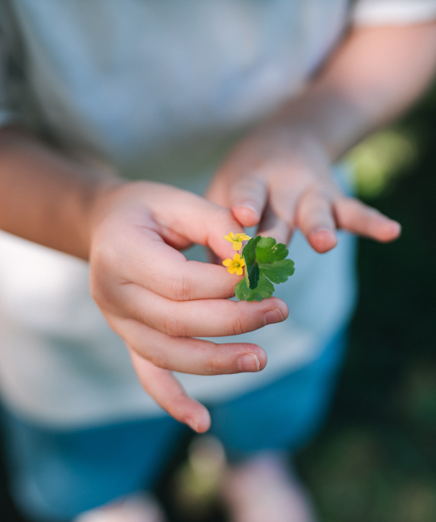 section04 scale img 3